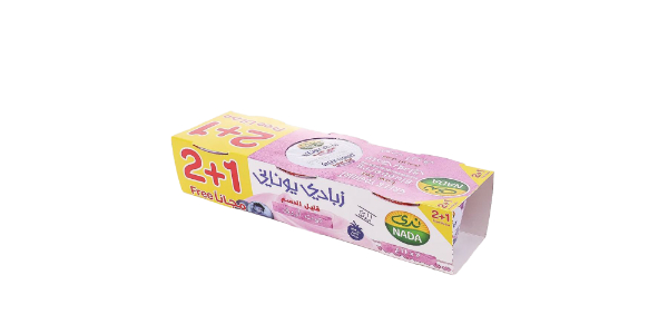 NADA GREEK YOGHURT BLUE BERRY LOW FAT 160 GM 2+1 PACK