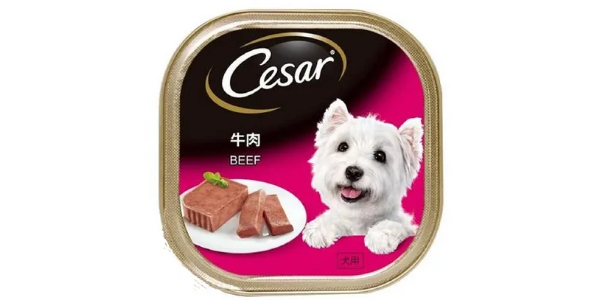 CESAR BEEF DOG WET FOOD 100G