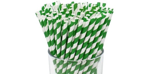 [117820] PAPER STRAWS 100/EA