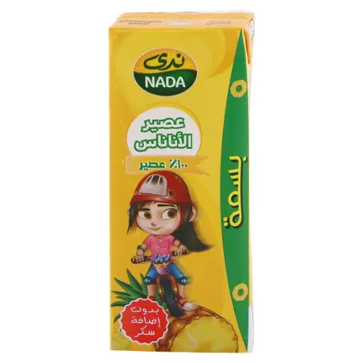[128419] NADA BASMA PINEAPPLE JUICE 200ML