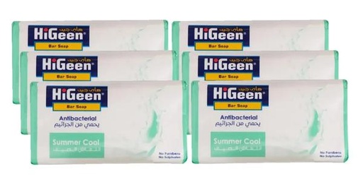 [155379] HIGEEN BAR SOAP SUMMER COOL (5+1) 75G