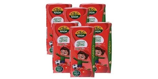 [128417] NADA DAHOOMY 100% APPLE JUICE 6X200ML