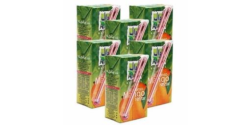 [125893] AWAL MANGO NECTAR 6X250ML