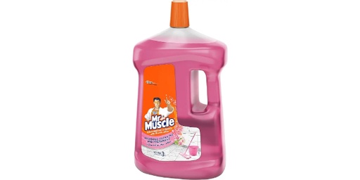 [128167] MR MUSCLE ALL PURPOSE CLEANER - FLORAL 3L