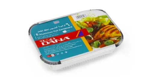 DANA ALUMINIUM FOIL CONTAINER WITH LID 1077L 