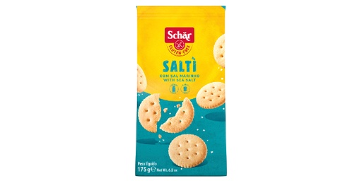 [119136] DSC SALTI CRACKERS 175G 