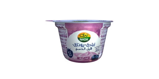 [111306] NADA GREEK YOGHURT BLUE BERRY LOW FAT 160 GM
