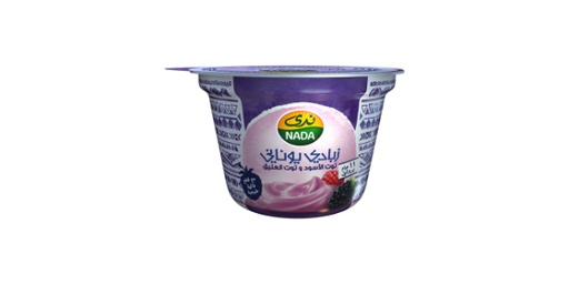 [111309] NADA GREEK YOGHURT BLACKBERY & RASPERY 160 GM