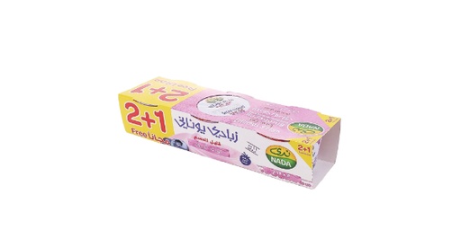 [147323] NADA GREEK YOGHURT BLUE BERRY LOW FAT 160 GM 2+1 PACK