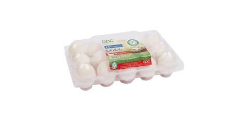 [125805] GPC BAHRAIN EGGSS 15S LARGE
