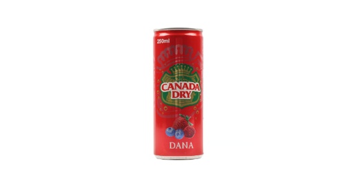 [114424] CANADA DRY DANA 250ML
